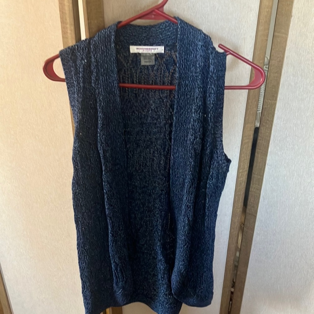 FINAL MARKDOWN Allison Daley Blue Knit vest petite petite
